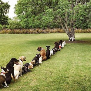 Queue.jpg