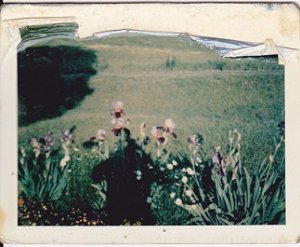 flower.jpg
