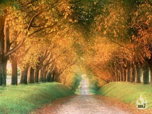 Beautiful-Nature-Wallpapers-4.jpg