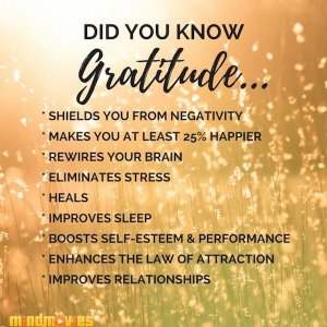 gratitude.jpg