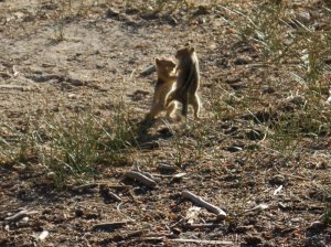 DSC_0069.JPG