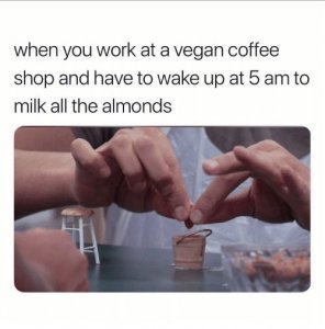 when-you-work-at-a-vegan-coffee-shop-and-have-35281891_1.jpg