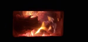 wood -20.jpg