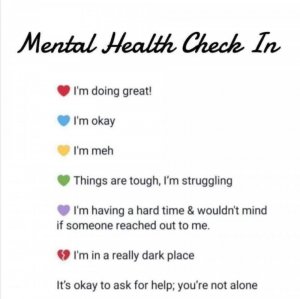 mentalhealthcheck.jpg