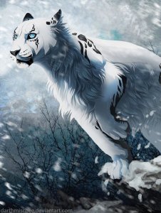 f0aedc232ecbb4f2adb63a7ebb00719b--anime-cat-black-dragon.jpg