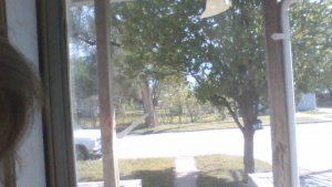 WIN_20200501_16_03_04_Pro.jpg