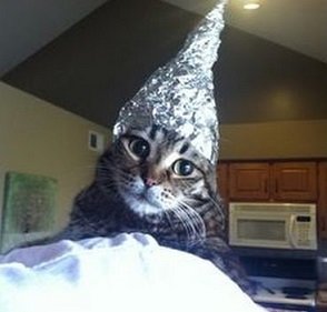 cat n hat.jpg