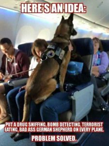 planedog.jpg