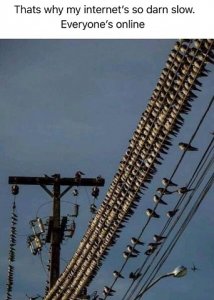 online.jpg