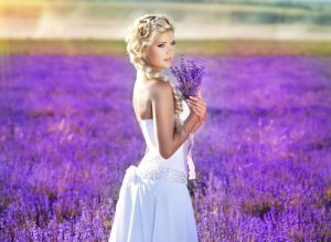 purple stuff lavender.jpg
