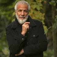 cat stevens.jpg