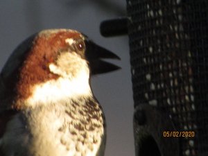 5093B98A-50C8-45C0-8819-3242EB3ED2F3.jpeg