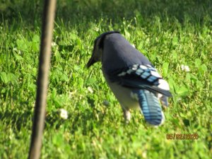 F574447D-1177-4C1D-A56E-B88F264874C2.jpeg