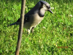EB47EFCE-D059-4D99-8D1B-FD778E63EF99.jpeg