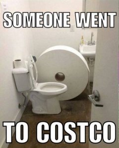 29 Funny Costco Memes That Any Costco Shopper Will Relate To.jpeg