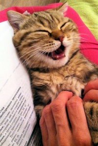 Tickled @.jpg