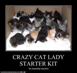 crazy+cat+lady.JPG