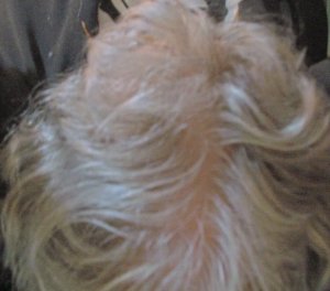 hair.jpg