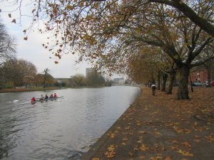 IMG_2145__1588662622_86283.jpg