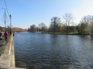 IMG_2156__1588662785_14445.jpg