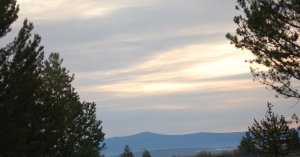 morn 5-5-20.jpg