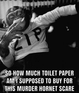 0E0F74B1-E63D-4ECC-86C1-6B2CDB06DDB9.jpeg
