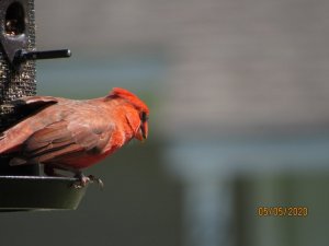 0866E0BC-5024-4812-8F57-6736B713BB25.jpeg