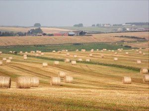 balesofhay 2.jpg