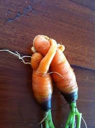 carrots.jpg