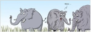 elephants1.jpg