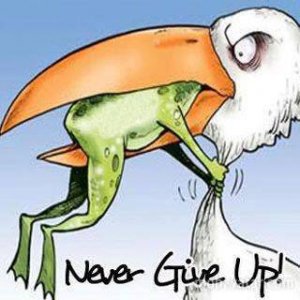 never give up.jpg