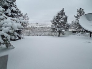 DSCN0392 (1500x1125).jpg