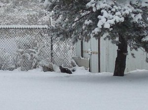 DSCN0392 (864x644).jpg