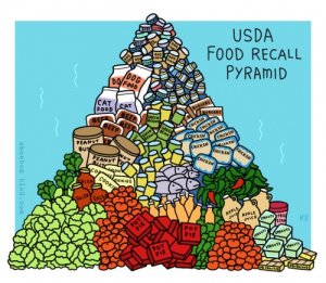 food-pyramid-500x435.jpg