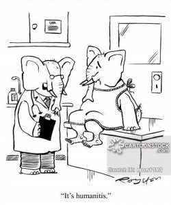 animals-elephant-zoo-safari-doctor-consultant-rron1190_low.jpg