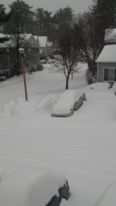 snowy day.jpg