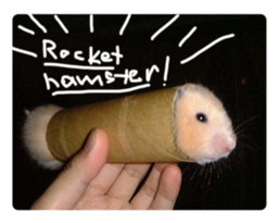hamster-rocket.png