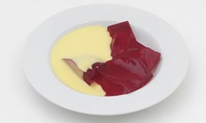 Bowl-of-Jelly-And-Custard-008.jpg