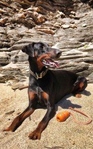 378017_10151668204072930_453793271_n.jpg 378017_10151668204072930_453793271_n.jpg