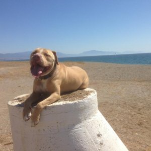 1017300_10151714823637930_1668415881_n.jpg 1017300_10151714823637930_1668415881_n.jpg