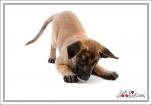 1535744_589982191111947_8537631909301656272_n.jpg 1535744_589982191111947_8537631909301656272_n.jpg