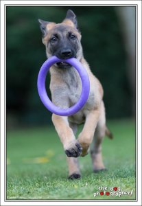 10626504_589982071111959_6611985230462928473_n.jpg 10626504_589982071111959_6611985230462928473_n.jpg