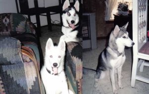 06-25-2009094053AM.JPG 06-25-2009094053AM.JPG