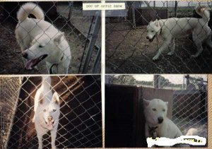 06-25-2009094243AM.JPG 06-25-2009094243AM.JPG