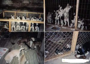 06-25-2009094503AM.JPG 06-25-2009094503AM.JPG