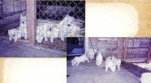 06-25-2009094944AM.JPG 06-25-2009094944AM.JPG