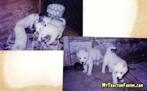 06-25-2009095152AM.JPG 06-25-2009095152AM.JPG