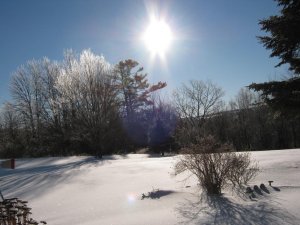 IMG_0041.jpg