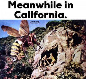 bee.jpg