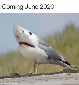 comingjune2020.jpg